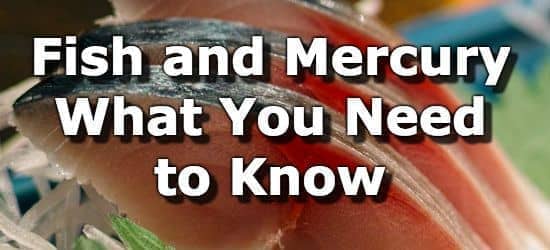 Fish And Mercury - What You Need to Know