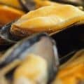 Mussels