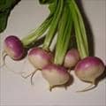 Turnips